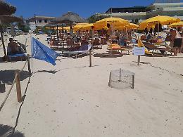 Lampedusa, all'Isola dei Conigli e alla Guitgia la schiusa delle uova di Caretta Caretta