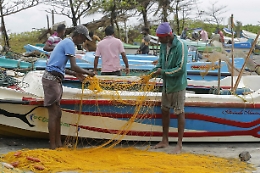 Nigeria: Boko Haram uccide almeno 10 pescatori del lago Ciad