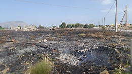 Roghi nella Riserva di Salina e Paceco: l'allarme del Wwf per disastro ambiente