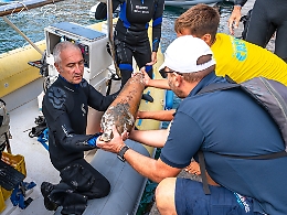 Un'anfora «Spatheion» recuperata nel mare di Ustica