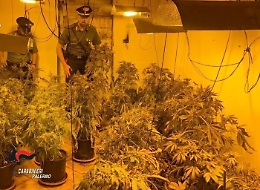 Serra indoor di cannabis in un casolare nel Palermitano: due arresti