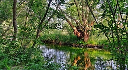 Emanata in Sicilia direttiva per pulizia e manutenzione degli alvei dei corsi d'acqua
