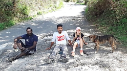 Montalbano Elicona regno della "nuts money": i volontari raccolgono e vendono le nocciole