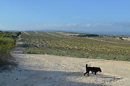 «No allo scempio del Val di Noto  e delle sue terre»