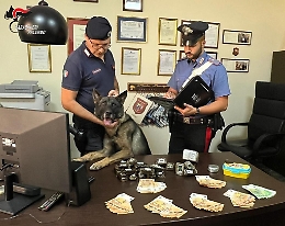 Palermo, sotto il letto matrimoniale 3,5 kg di hashish e 6.500 euro: arrestata coppia di coniugi