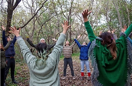 VIRIDITAS, forze vitali in festa