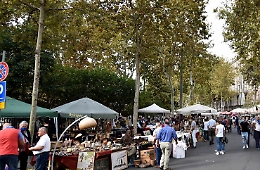 Anarchia al Mercato delle pulci: nessun controllo e suolo pubblico non pagato