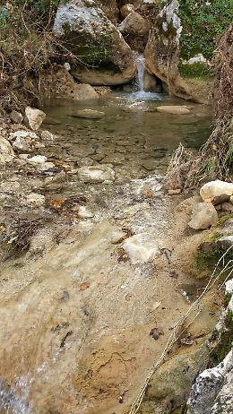 Escursionista si sente male a Ficuzza: soccorsi in tre