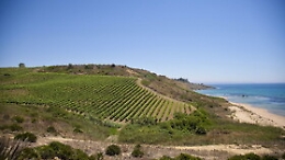 Sarà Menfi la Città Italiana del Vino 2023