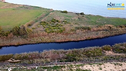 Agrigento, il fiume Naro inquinato dagli scarti della molitura di olive