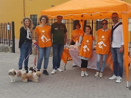 Cianciana, successo per la giornata di microchippatura gratuita