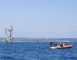 Trivelle:Wwf, grave errore, Governo scommetta su rinnovabili