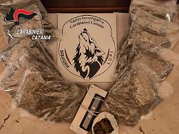 Catania, in auto con 11 chili di marijuana: avrebbe fatto 20 mila dosi e guadagnato 100 mila euro