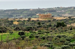 "Valle dei Templi Oil and Wine" alla scoperta del valore  del Nero d'Avola e dell’olio extravergine d’oliva