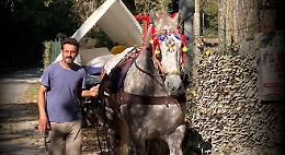 Il ristoratore di Bagheria in pellegrinaggio ad Assisi col suo carretto e il fido Gandalf: per la pace ma non solo