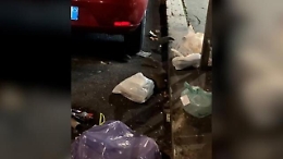 «Mandria» di topi all'Esquilino, i residenti filmano: «Cartolina da Roma!»