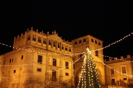 Palma di Montechiaro, la Giunta delibera la "Giornata dell'Albero di Natale"