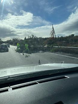Maltempo in Sicilia, albero finisce sull'A18 e travolge due auto: tre feriti