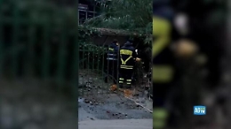Frana a Ischia, abitazioni travolte dalla colata: i vigili del fuoco salvano un uomo dal fango