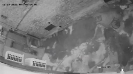 Lucera, butta rifiuti per strada: una donna incastrata dalle telecamere. Il sindaco: &laquo;Vergognati&raquo;