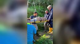 La Polizia preleva un uomo dalla sua abitazione a Ischia: il salvataggio