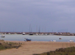 Denunciato titolare di un frantoio per aver sversato acqua vicino al fiume Gela