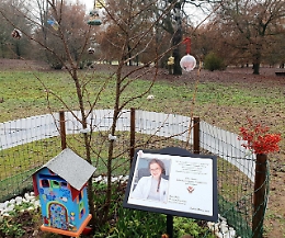 Sara Pedri: per Natale il suo albero "si veste a festa"