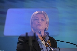 Rdc: Calderone, non vogliamo intervenire con l'accetta