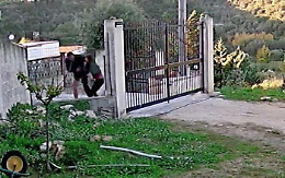 Uccisa nel Palermitano, niente ergastolo per l'assassino