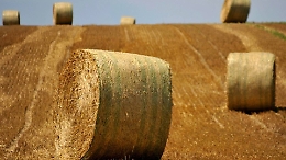 Licata, tragico Natale in un'azienda: agricoltore muore schiacciato da una balla di fieno di 400 chili