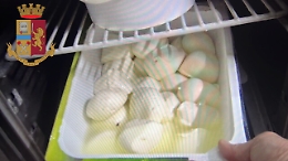 Alimenti non tracciati, lavoratori in "nero" e ampliamenti abusivi: sanzioni in due ristoranti catanesi