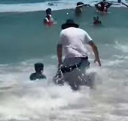 Foca insegue e morde bagnanti in spiaggia