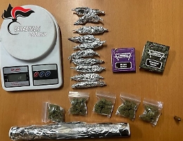 Catania, il ragazzino di Picanello che coltivava marijuana