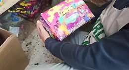 "Pokemon" e "Me contro te" contraffatti nascosti nel vano di un deposito: sequestrati 100mila giocattoli
