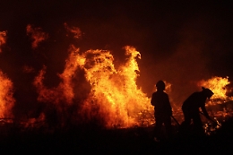 Cile: 16 morti per gli incendi, bruciati 40.000 ettari di boschi