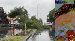 La Sicilia orientale nell'occhio del ciclone mediterraneo: allagamenti, black out, alberi abbattuti e strade interrotte