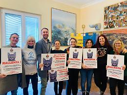 Lampedusa si "coccola" i gatti