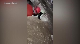 Terremoto Turchia, neonato salvato dalle macerie dopo 120 ore