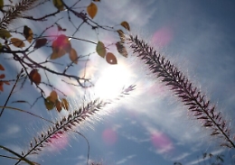 Meteo, l'anticiclone di San Valentino regala una settimana di caldo e sole