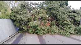 Il ciclone su Catania, la devastazione al cimitero di Zia Lisa e al boschetto della Plaia: si contano i danni