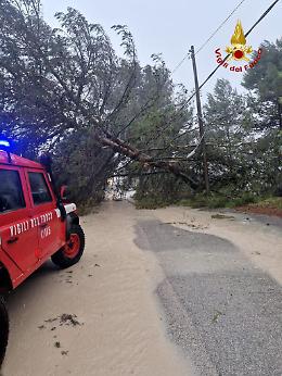 Maltempo in Sicilia Orientale, le aziende agricole colpite ora possono segnalare i danni