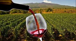 A Castiglione di Sicilia torna “Le contrade dell'Etna”, evento-must per gli amanti del vino: ecco date e cantine