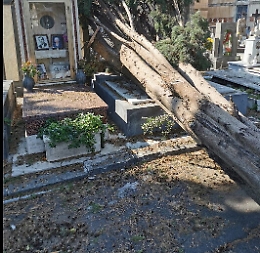 I danni del maltempo al cimitero di Catania: alberi spezzati e buche nelle strade