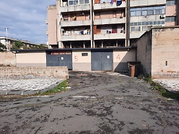 Stalle abusive con cavalli dentro costruite in terreno comunale a Zia Lisa: sequestro e denunce