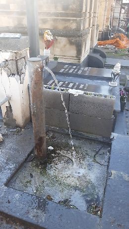 Spreco d'acqua al cimitero di Catania