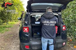 Belpasso, operai come "schiavi": arrestato imprenditore agricolo