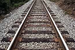 Treno investe una mucca, linea tra Palermo, Agrigento e Caltanissetta interrotta per due ore