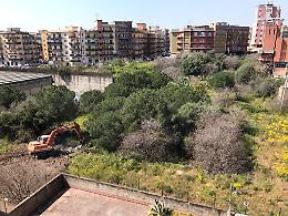 Catania: area verde, vandalizzata, per realizzare un'oasi ecologica