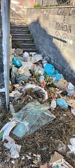 Catania, San Cristoforo: Via De Lorenzo, abbandonata tra rifiuti e alberi pericolanti