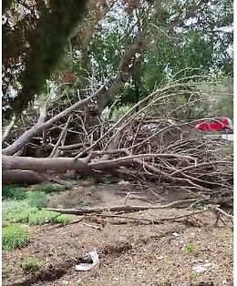 Anche al cimitero di Siracusa, come in quello di Catania, la manutenzione è pari a zero